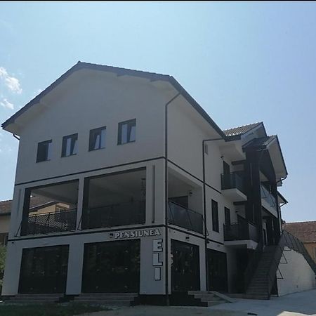 Pensiunea Eli Buziaş Exteriér fotografie
