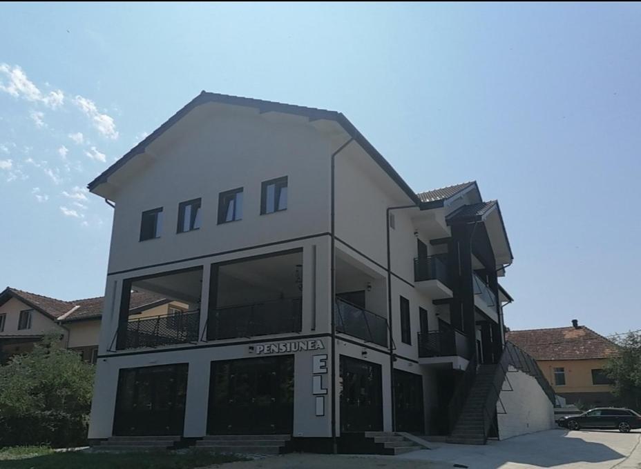 Pensiunea Eli Buziaş Exteriér fotografie